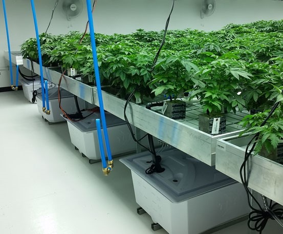 flooring systems for cannabis growing operations