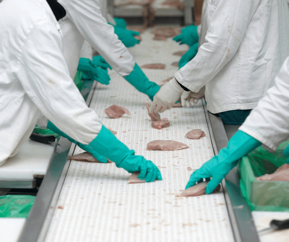 Green Gastronomy: FDA-Approved Food and Beverage Flooring for Sustainability
